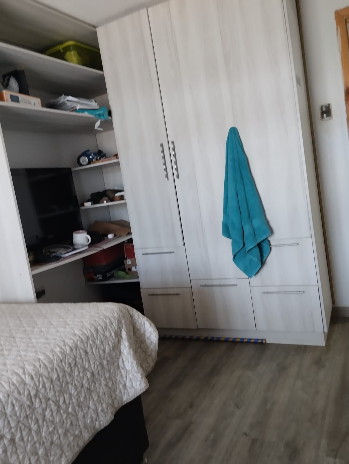 Parcela 5.000 m² con casa 4D — Oro Verde, Chillán — foto 12 de 26