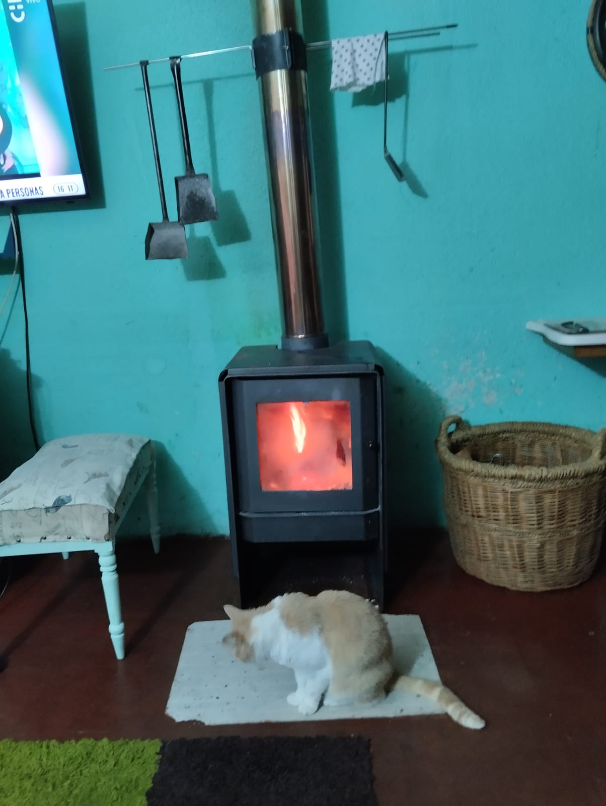 Casa 5D/2B 200 m² — Villa Magisterio, Chillán — foto 10 de 18